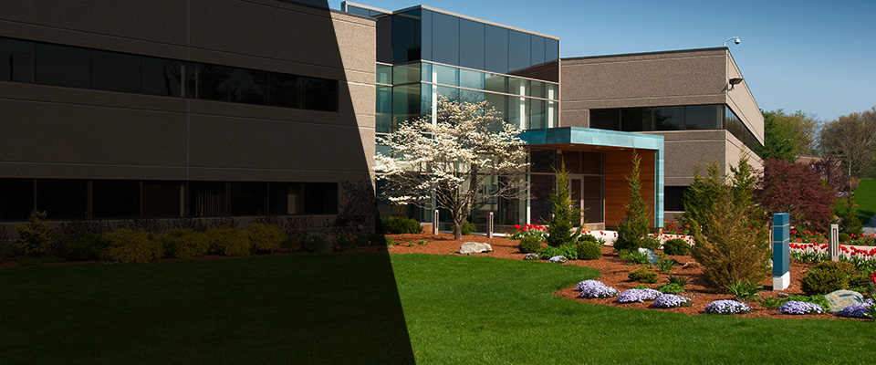 Braintree Landscapers