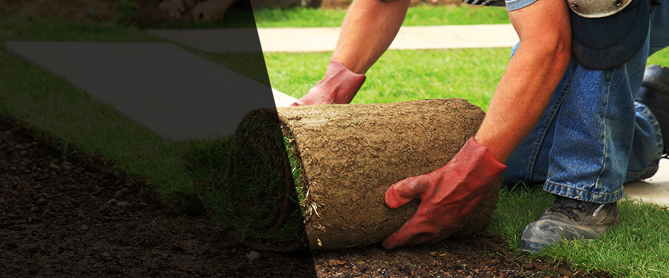 Braintree Landscapers